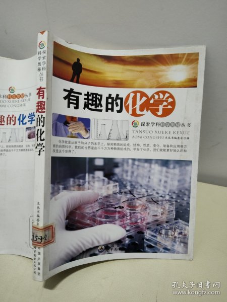 探索学科科学奥秘丛书：有趣的化学