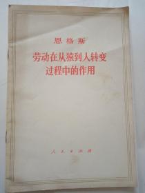 劳动在从猿到人转变过程中的作用