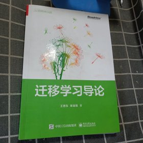 迁移学习导论