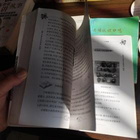 探究式学习丛书：岩石和矿物