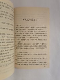 飞虎队与野猎队