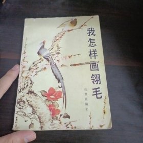 我怎样画翎毛