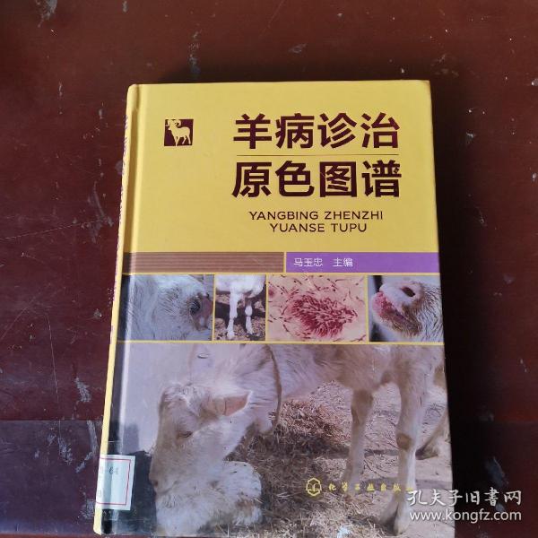 羊病诊治原色图谱