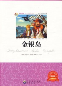 青少年丛书:金银岛