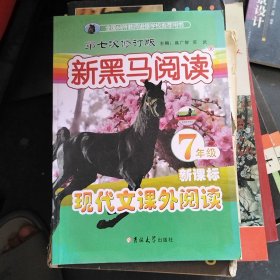 新黑马阅读7年级