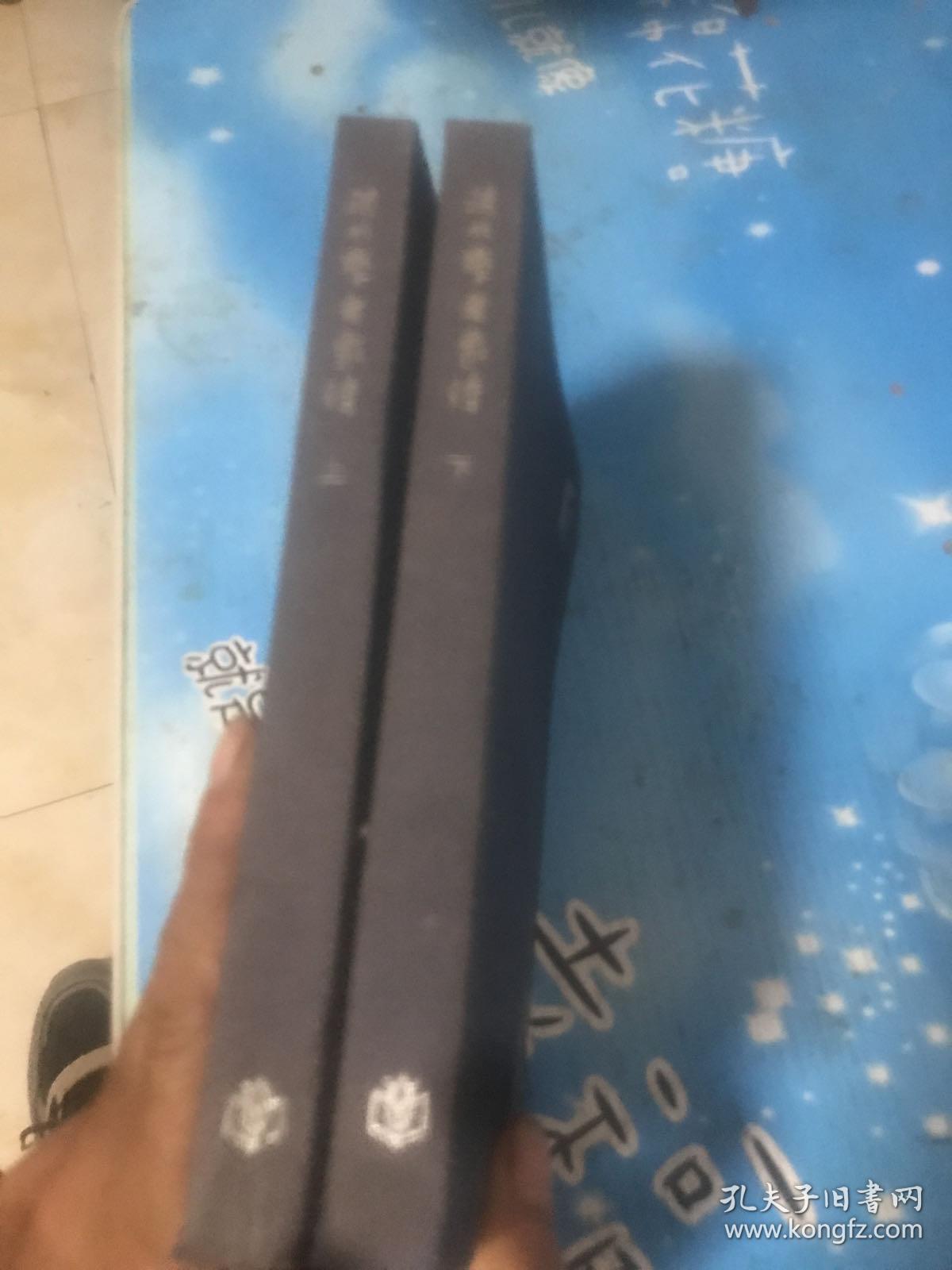 清代学者象传 上下 上海书店出版社