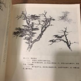 巜怎样画树》