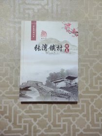 张湾镇村村志 精装本