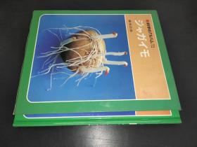 科学のアルバム 72 ジヤガイモ 日文