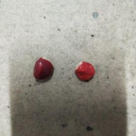 红豆（正中顾山）两粒