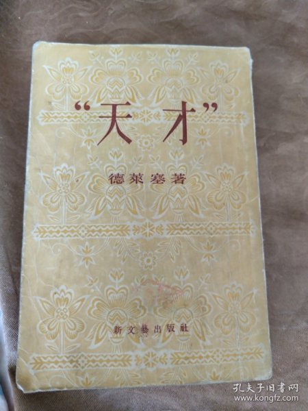 翻译小说，天才下册
