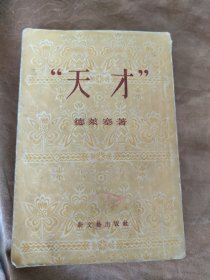 翻译小说，天才下册