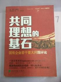 共同理想的基石：国有企业若干重大问题评论