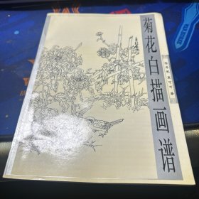 菊花白描画谱