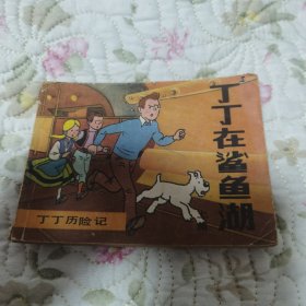 丁丁历险记之丁丁在鲨鱼湖（上）