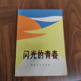 闪光的青春