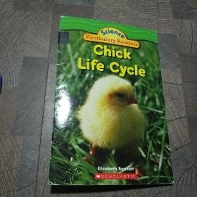 Chick Life Cycle 散页装