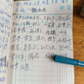 老中医手抄验方中医笔记！医治毒蛇咬伤处方，治牙痛良方（北流县民安区蛇佬梁浅灰处方）治男女无生育药方，驱逐狐臭散，等等验方，写有验方的有28页