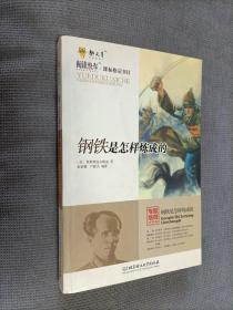 钢铁是怎样炼成的，2009一版一印