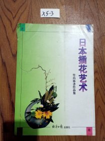 日本插花艺术:竹内林书作品集