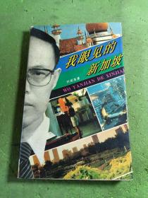 我眼見的新加坡