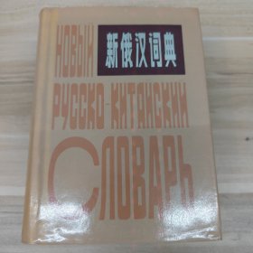 新俄汉词典
