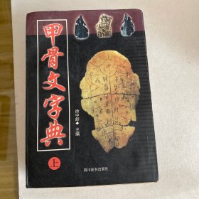 甲骨文字典 上下2册全！