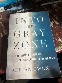 Into the Gray Zone