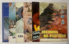 山东油画+山东美术陶瓷+山东麦草提兰+山东草帽+山东贝雕画+山东羽毛画（六本合售）