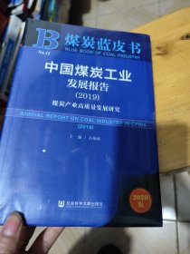 煤炭蓝皮书：中国煤炭工业发展报告（2019）