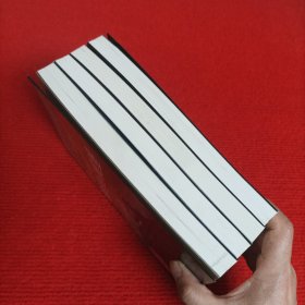 卧底任务.：愤怒的城堡、完美越狱、案中案、大营救【4本合售】