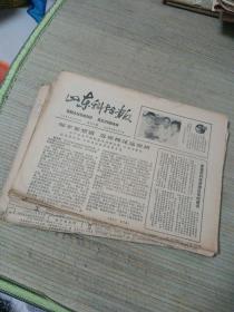 山东科技报1980年 总169