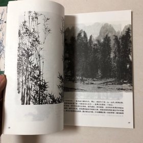 （中国画技法研究五册合售）孙其峰中国花鸟画技法、白雪石中国山水画技法、黄均中国人物画技法、魏紫熙中国写意山水画技法、工笔重彩人物画技法