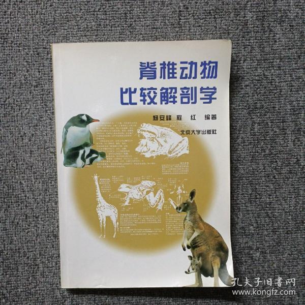 脊椎动物比较解剖学