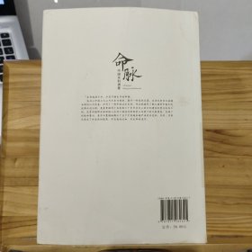 命脉(中国水利调查)