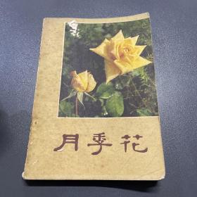 月季花（中国传统名花丛书）