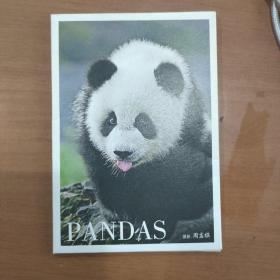 熊猫邮局明信片 10张