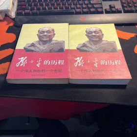 邓小平的历程：一个伟人和他的一个世纪——一代天骄丛书（上下）