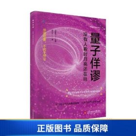 量子佯谬：没有人看时月亮还在吗（简明量子科技丛书）