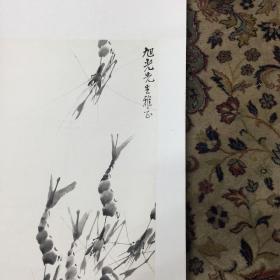 著名国画家、齐白石先生女弟子、山西大学老师杨秀珍先生国画《群虾图》立轴60*30厘米，有上款