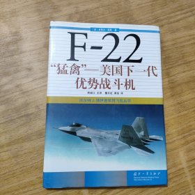 F-22"猛禽"：美国下一代优势战斗机