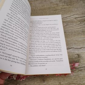 哈利波特与魔法石(赫奇帕奇版） 英文原版 HARRY POTTER and the philosopher's stone 出版社_Bloomsbury