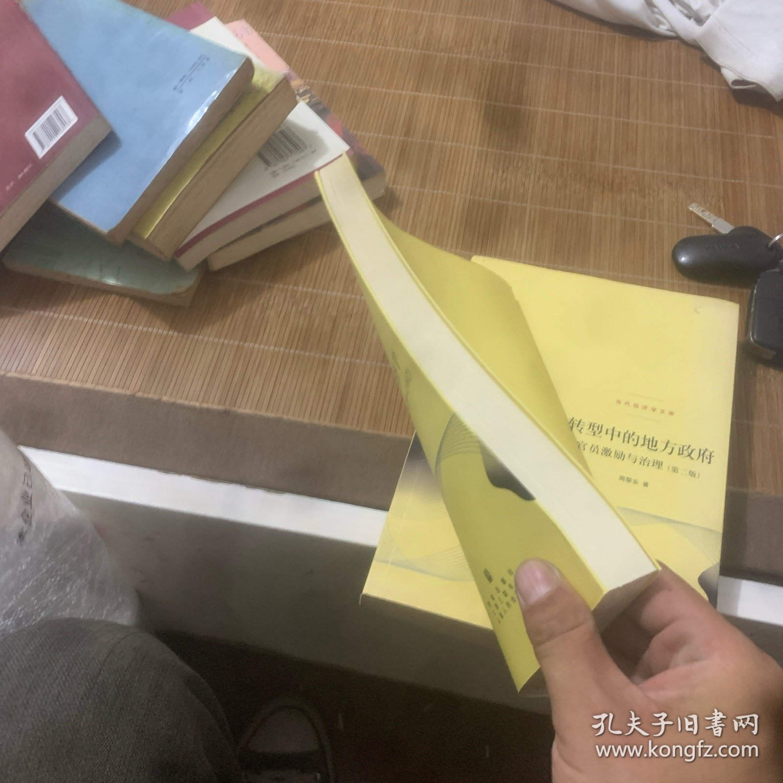 “双轨制”经济学：中国的经济改革