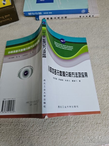 小样本多元数据分析方法及应用