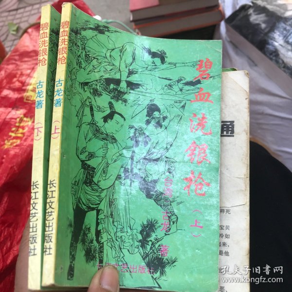 碧血洗银枪 上下 长江文艺