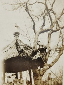 民国风景老照片旗袍男子站在树上