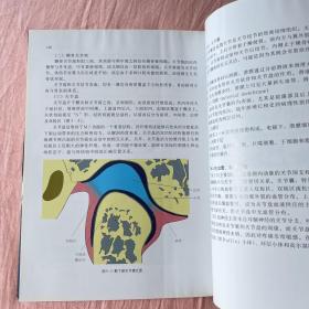 口腔组织学图谱 软精装