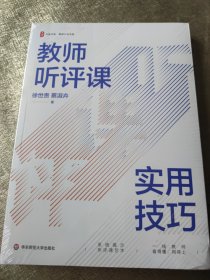 教师听评课实用技巧 大夏书系