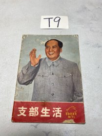 支部生活 革命样板戏画刊