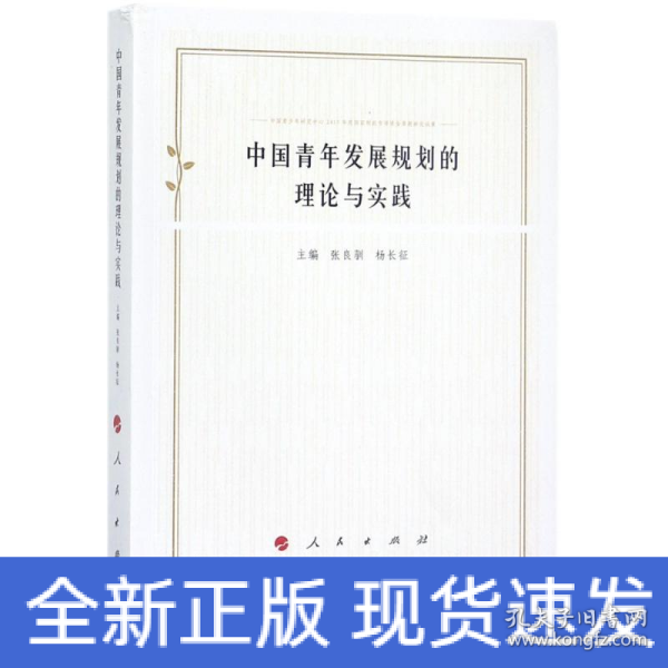 中国青年发展规划的理论与实践